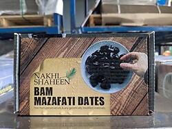 Nakhl Shaheen Bam Mazafati Dates 400g